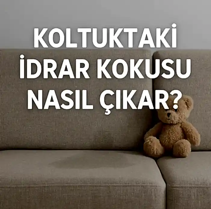Koltuktaki Idrar Kokusu Nasil Cikar